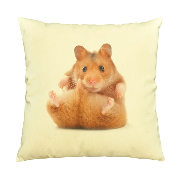 18x18 Multicolor Hamster Animal Gifts Pop Art Pet Animal Lover Cookie Owner Cute Hamster Throw Pillow 
